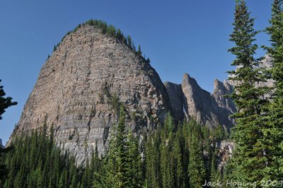 The Beehive