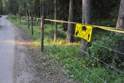 Lake Louise tent campground is completely surround by electric fence to keep bears out