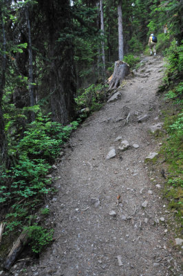 Steep section of the trail to the Saddleback