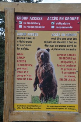 A few trails in this area required groups of 4 hikers, because of the bears