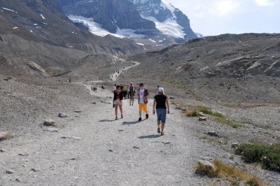 Trail to the Columbia Glacier (Icefield Centre)