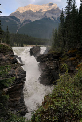 Athabasca Falls 3