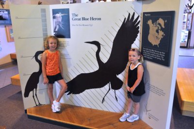 Blue Heron display at Maumee Bay State Park