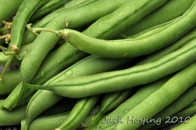 Fresh beans from our garden!