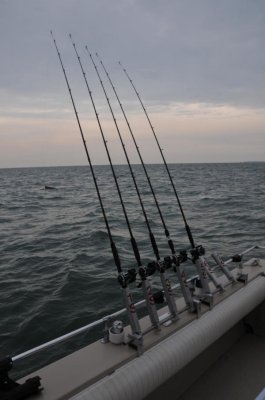 5JH_3885.jpg
