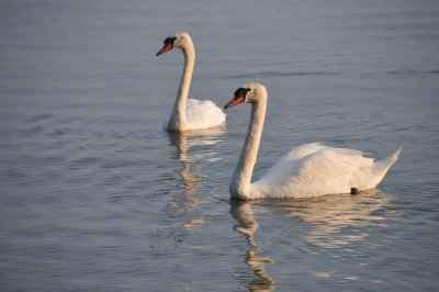 5JH_4345.jpg