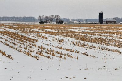 Winter Farm Scene