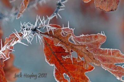 Ice Thorns
