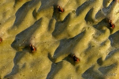 Aerial view of the Hills and Valleys