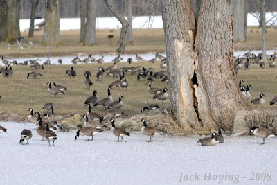 Winter Gathering on Lake Loramie