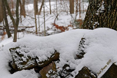 Snow on the Firewood