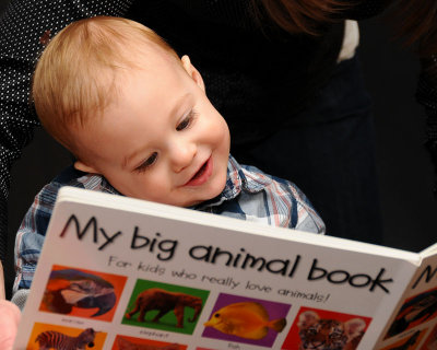 A New Book for Camden's 1st Birthday