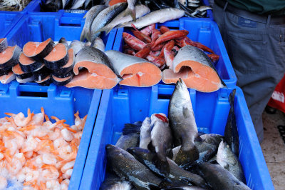 Tel Aviv - fresh fish at Carmel market