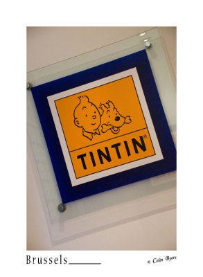 120 - Tintin - Brussels_D2B3036.jpg