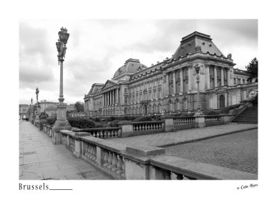 207 - Palais Royal - Brussels_D2B2993-bw.jpg