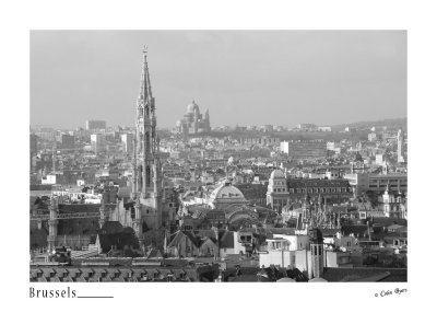210 - Panoramic view from Museum of Music - Brussels_D2B3340-bw.jpg