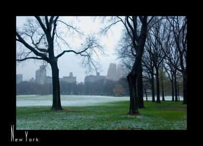 Morning Walk in Central Park_D2B3959.jpg