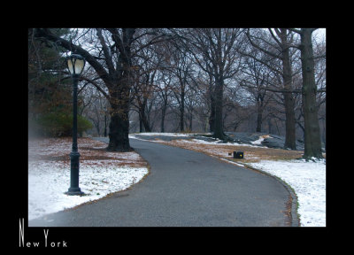Morning Walk in Central Park_D2B3965.jpg
