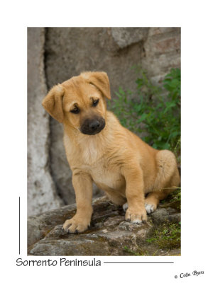 _D2B0793 - Poser.jpg