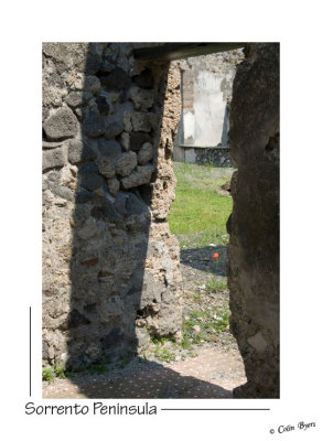 _D2B0799 - Pompeii-One Poppy.jpg