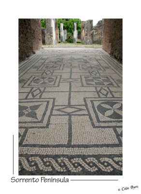 _D2B0831 - Pompeii-Mosaic.jpg