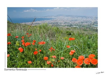 _D2B0859 - Bay of Naples.jpg