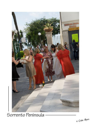 _D2B0898 - Sorrento Wedding.jpg