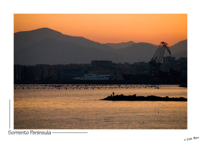 _D2B1128 - Dawn.jpg