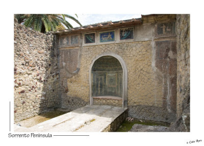 _D2B1134 - Herculaneum House.jpg