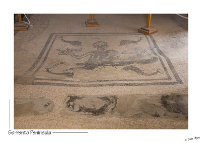 _D2B1135 - Herculaneum Mosaic.jpg