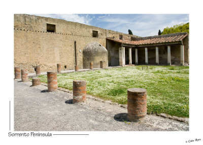 _D2B1138 - Herculaneum House.jpg