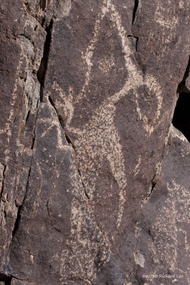 Three Rivers Petroglyph _MG_3504 copy.jpg