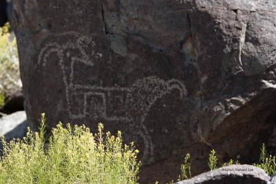 Three Rivers Petroglyph _MG_3505 copy.jpg
