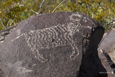 Three Rivers Petroglyph _MG_3511 copy.jpg