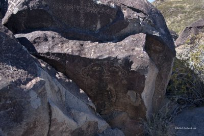 Three Rivers Petroglyph _MG_4655 copy.jpg