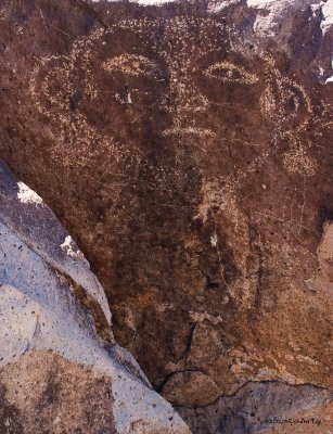 Three Rivers Petroglyph _MG_3517_edited-1 copy.jpg