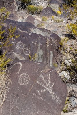 Three Rivers Petroglyph _MG_4658 copy.jpg