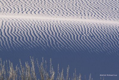 White Sands National Monument_MG_3564 copy.jpg
