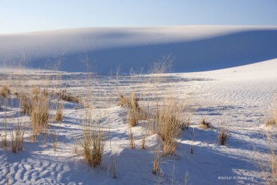 White Sands National Monument_MG_4721 copy.jpg