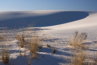White Sands National Monument_MG_4722 copy.jpg
