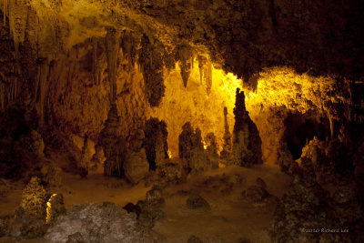 Carlsbad Caverns National Park_MG_4850 copy.jpg