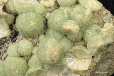 CRW_9129-Wavellite_CU.jpg