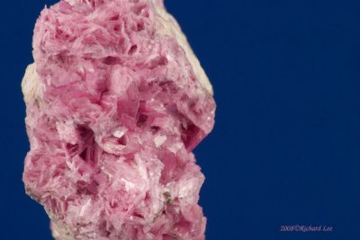 CRW_9236-RhodoniteX.jpg