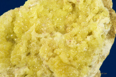 CRW_9249-SulphurX.jpg