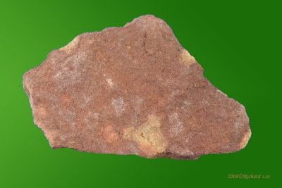 BKG21_Rauvite.jpg