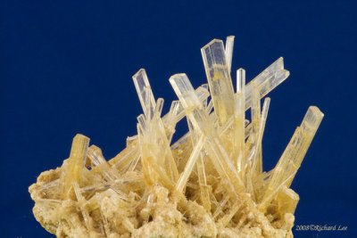 CRW_9295Gypsum.jpg