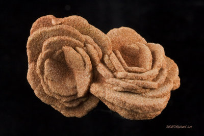 _MG_9537-Barite-Rose.jpg