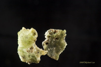CRW_9398-Trinitite.jpg