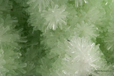 CRW_9361-Gypsum_GreenX.jpg