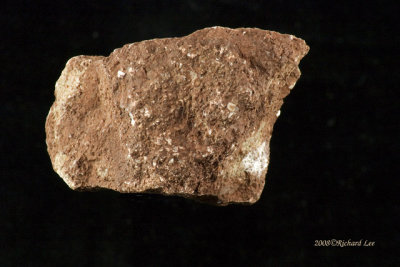 CRW_9337-Limestone.jpg